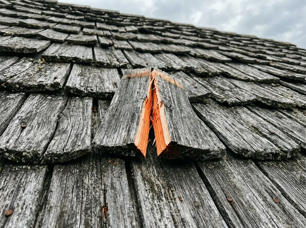 Weathered gray cedar shake roof with one fresh split showing bright orange wood inside the crack